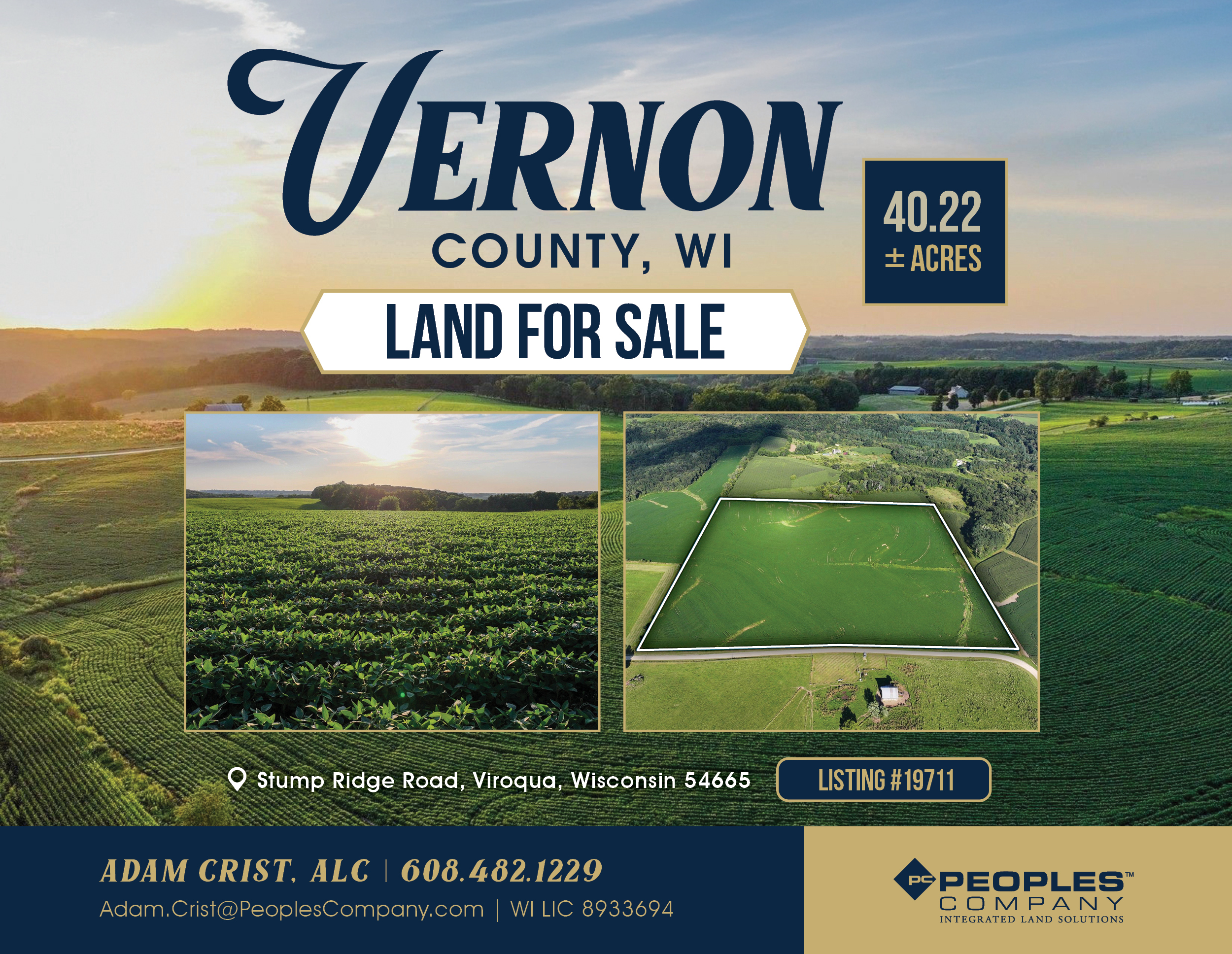 Listing #19711